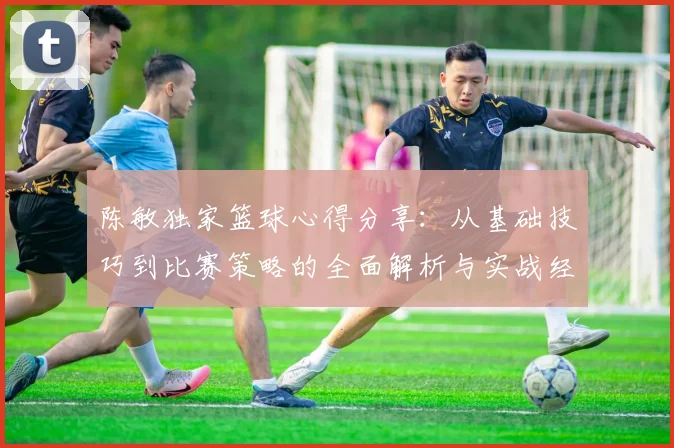陈敏独家篮球心得分享：从基础技巧到比赛策略的全面解析与实战经验总结