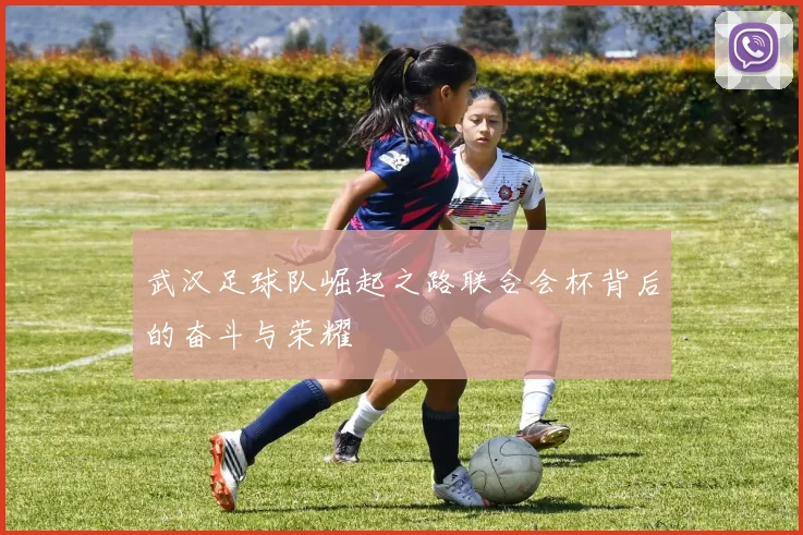 武汉足球队崛起之路联合会杯背后的奋斗与荣耀