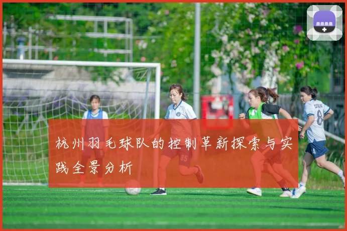 杭州羽毛球队的控制革新探索与实践全景分析