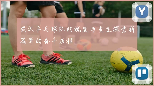 武汉乒乓球队的蜕变与重生探索新篇章的奋斗历程