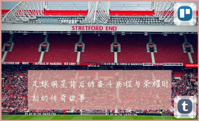 足球明星背后的奋斗历程与荣耀时刻的传奇故事
