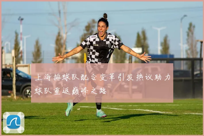 上海排球队配合变革引发热议助力球队重返巅峰之路