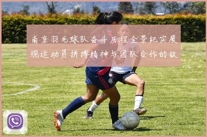 南京羽毛球队奋斗历程全景纪实展现运动员拼搏精神与团队合作的故事