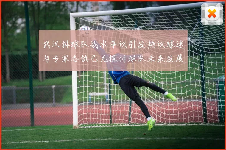 武汉排球队战术争议引发热议球迷与专家各执己见探讨球队未来发展方向