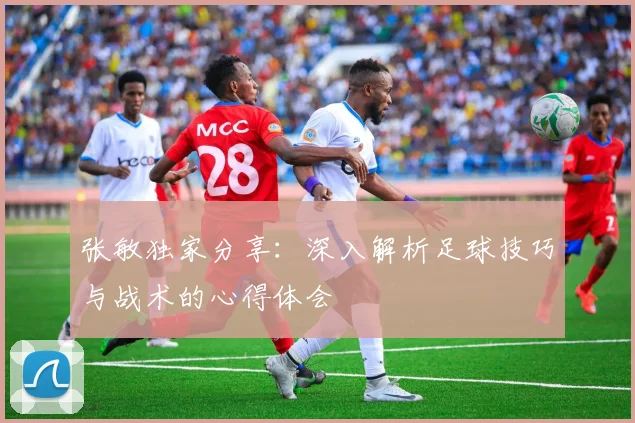 张敏独家分享：深入解析足球技巧与战术的心得体会