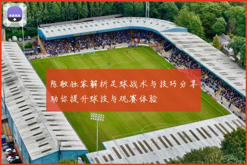 陈敏独家解析足球战术与技巧分享助你提升球技与观赛体验