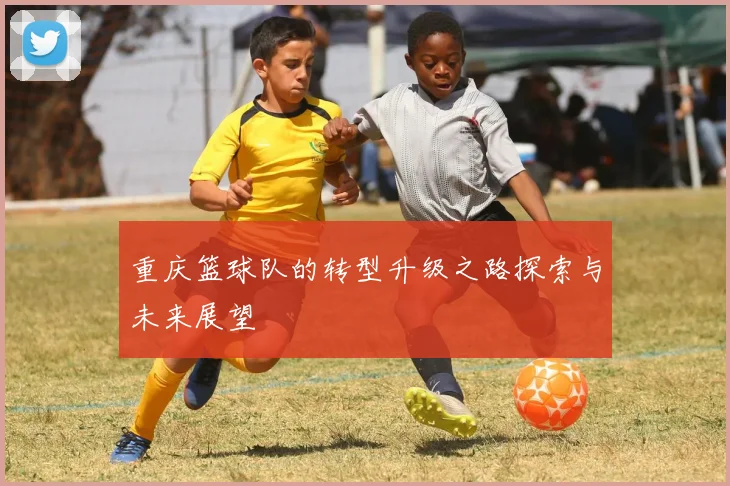 重庆篮球队的转型升级之路探索与未来展望
