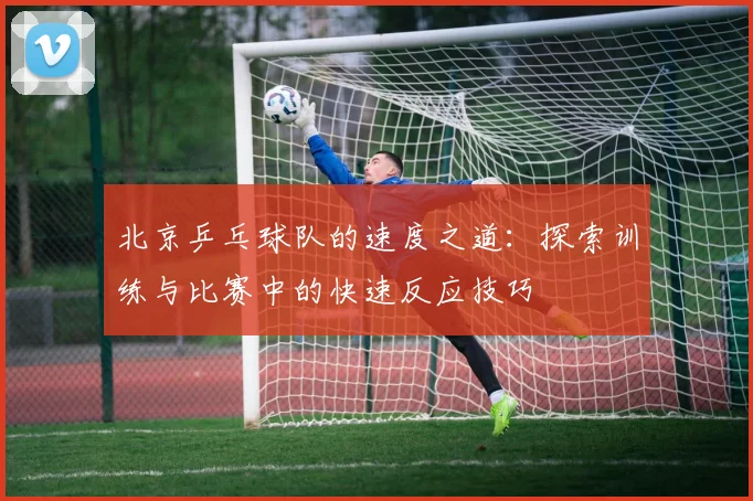 北京乒乓球队的速度之道：探索训练与比赛中的快速反应技巧