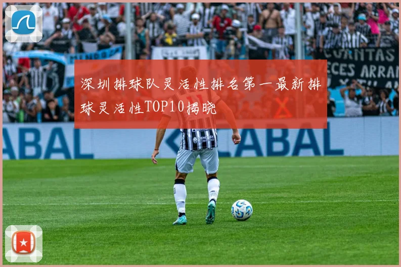 深圳排球队灵活性排名第一最新排球灵活性TOP10揭晓