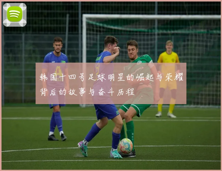 韩国十四号足球明星的崛起与荣耀背后的故事与奋斗历程