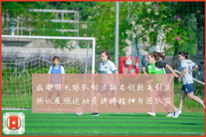 成都羽毛球队耐力排名创新高引发热议展现运动员拼搏精神与团队实力