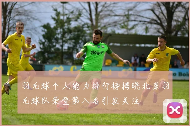 羽毛球个人能力排行榜揭晓北京羽毛球队荣登第八名引发关注