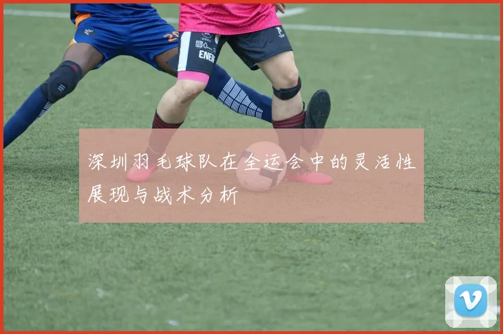 深圳羽毛球队在全运会中的灵活性展现与战术分析