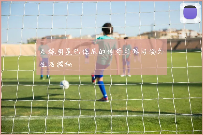 足球明星巴德尼的传奇之路与场外生活揭秘