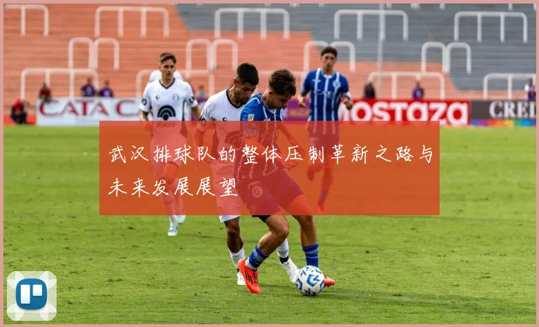 武汉排球队的整体压制革新之路与未来发展展望