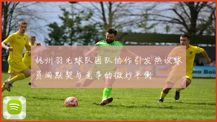 杭州羽毛球队团队协作引发热议球员间默契与竞争的微妙平衡